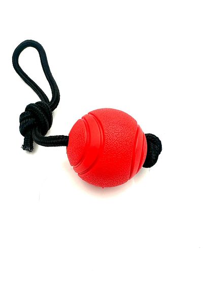 Tasma Market Soft Textured Red Dog Training Ball - Rope Toy