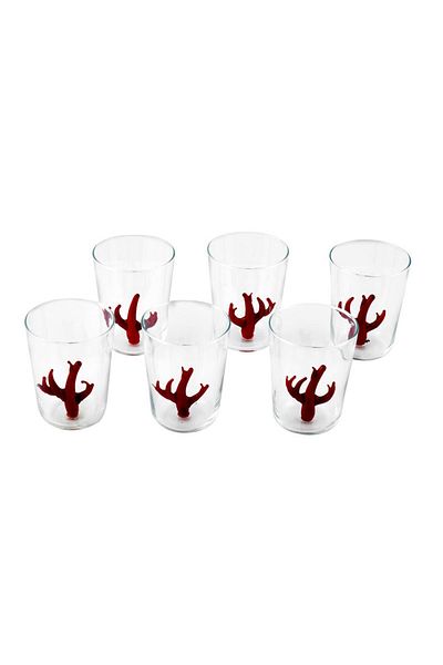 Cemile Set of 6 Coffee Glasses with Coral Inside