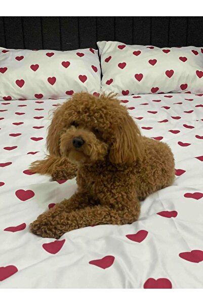 mihriban Heart Patterned Elastic Sheet Set