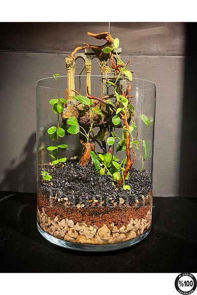 Paşabahçe 40 cm Width 19 cm Perforated Handmade - Aquarium Handcrafted Cylinder Vase Glass Ps1940 Thick Base