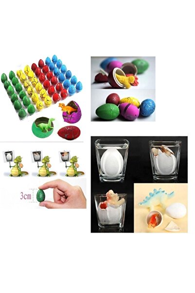 indirimlial 3 Adet Büyük Boy Islanınca Çatlayıp Büyüyen Dinazor Yumurtası Oyu...