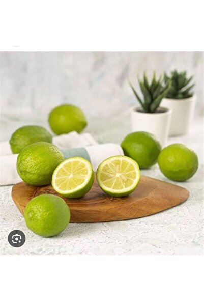 KILINÇ TROPİKAL 1 kg Lime Limon