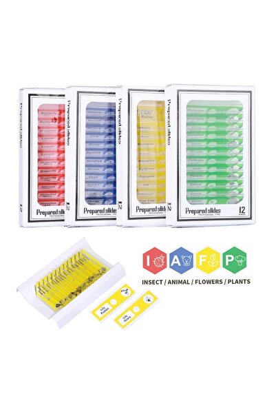 Laboratuvar Market Hazır Mikroskop Preparatı Seti- 48 Slayt - Yüksek Kalite