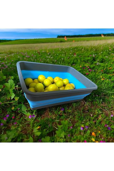 HOLLYHOME Anthracite/Blue 4L Folding Basin Manicure - Accordion Bucket Pineapple Design