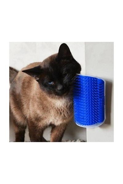 Apco Cat Combing and Massage Brush Blue