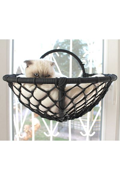 lüxperi Cat Glass Bed & Glass Suction Cup Cat Bed & Strong Suction Cup Cat Bed