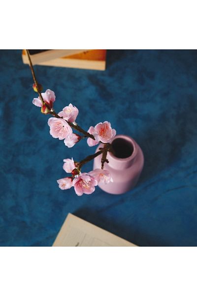 Home Box Aria Winter Sweet Flower Stem - 55 cm