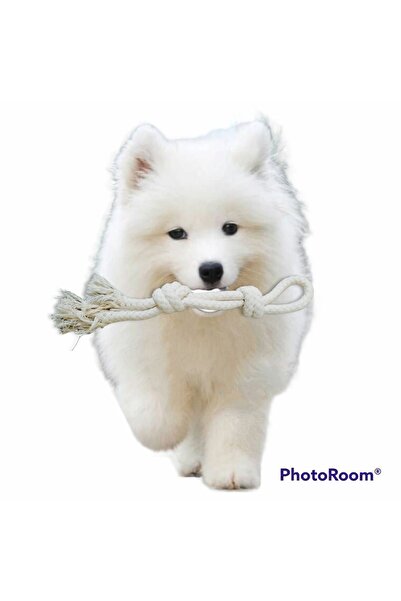 724 AVM Köpek Oyuncağı Isırma Kaşıma Ve At Tut Getir Dörtlü Oyun Seti