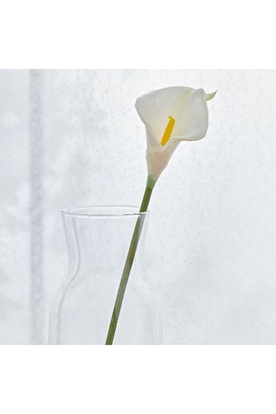 Home Box Aria Calla Lily Flower Stem - 36 cm
