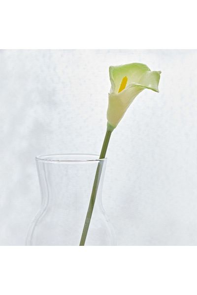Home Box Aria Calla Lily Flower Stem - 36 cm