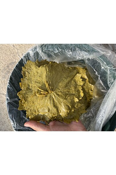 veli banaz Salamura Yaprak Yeni Sezon ( Denizli Çal’ın Bağ Yaprağı Çok Ince ) 5 Kg