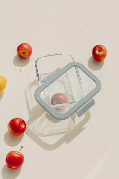 NEOFLAM Fika Glace Cam Saklama Kabı 460Ml Gri