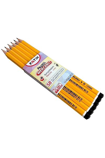 Fatih Cornered Coral Pencil 12 Pack Pastel Colors Purple Body