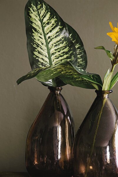 İssimo Home Calitta 210 Tc (83 Thread) Digital Cotton Satin Duvet Cover Set Single