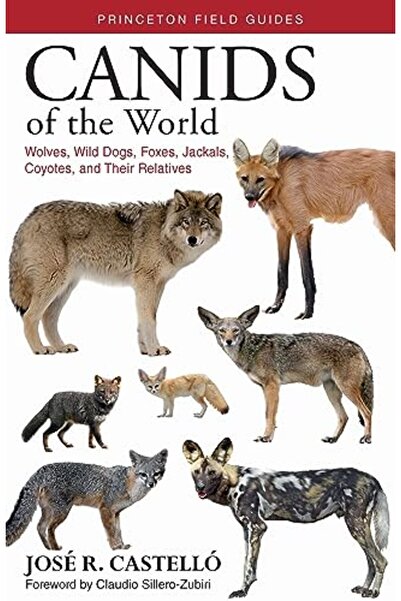 Wiley Canids of the World: Wolves, Wild Dogs, Foxes, Jackals, Coyotes, and Th...