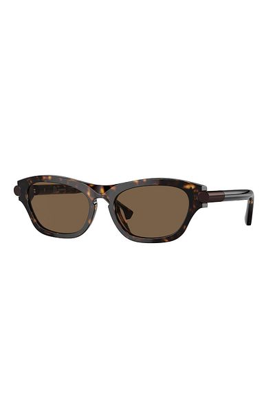 BURBERRY Be4430U 300273 55 Men's Sunglasses
