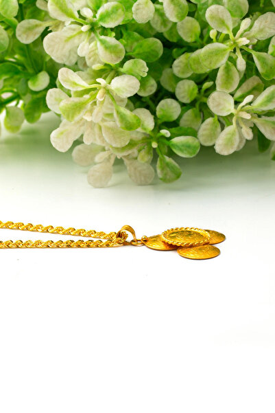 Bilezikci 4 Çeyrek Reşatlı 22 Ayar Altın Kolye