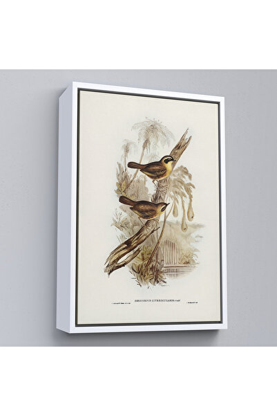 Home Pictură de păsări pe ramură cu cadru din lemn-8022