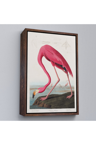 N NOXXO Wood Framed John James Audubon - American Flamingo Painting-7301