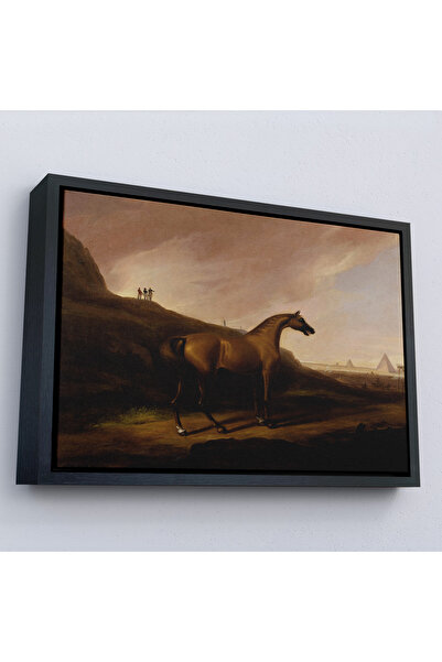 Oxyteez Alvan Fisher cu cadru din lemn - Pictură Calul lui Napoleon - Calul l...
