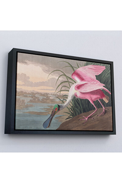 Oxyteez John James Audubon cu cadru din lemn - Pictură Roz Spoonbill-7120