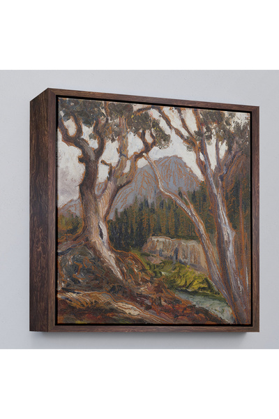 Oxyteez Longs Peak din Loch Vale cu cadru din lemn, Estes Park, Colorado Pain...