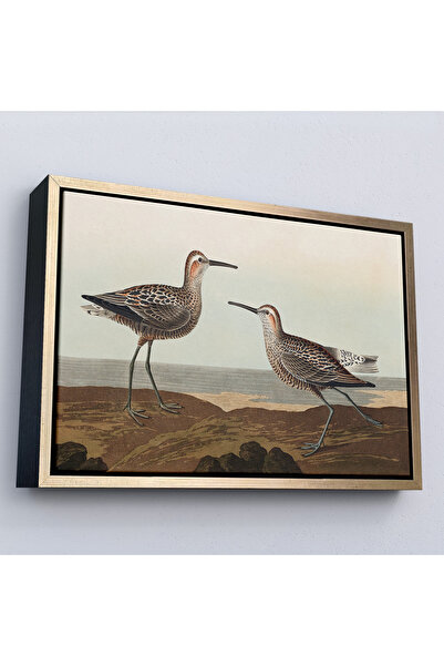 Oxyteez Tablou vintage cu picioare lungi cu cadru din lemn