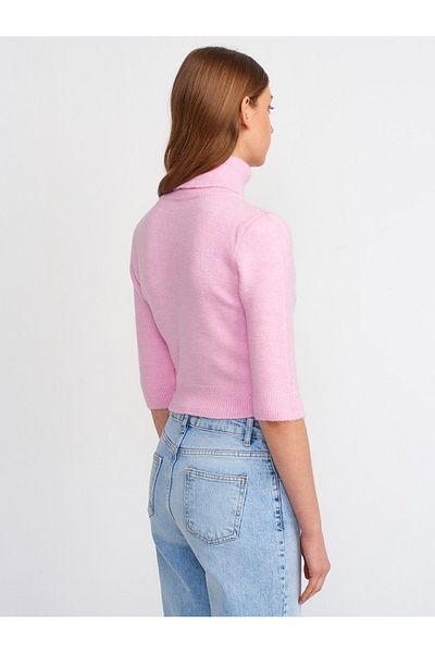 Dilvin 10306 Pulover crop cu mânecă scurtă cu gât-roz