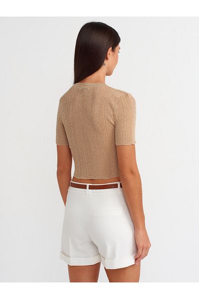 Dilvin 10571 Model - Crew Neck Beige Transparent Knitwear Blouse