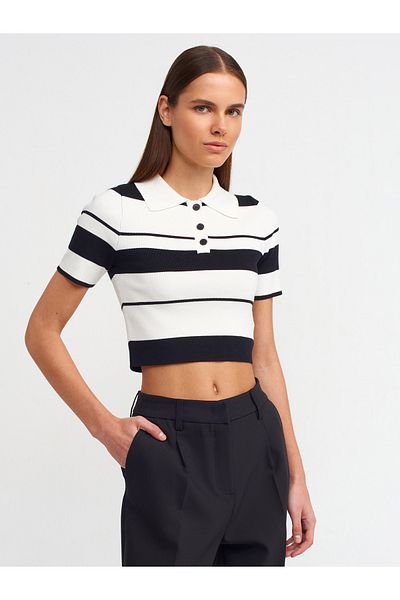 Dilvin 10532 Model Polo Collar Striped Knitwear Top - Ecru Black