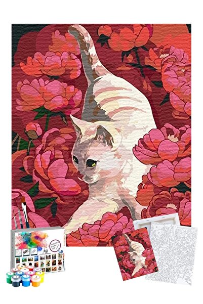 Tabdiko Sayılarla Boyama Seti 40 x 50 cm Tuval Şasesine Gerili Doğadaki Kedi