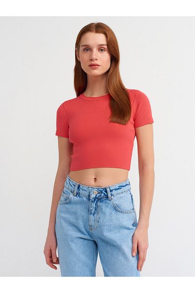 Dilvin 10357 Crew Neck Short Sleeve Crop Sweater-ARed