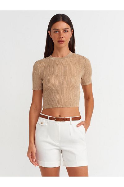 Dilvin 10571 Model - Crew Neck Beige Transparent Knitwear Blouse