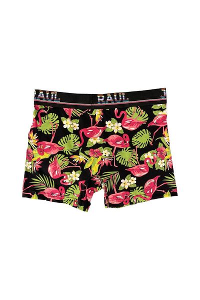 Juan Raul Tropical ανδρικό μπόξερ με σχέδιο - DB157