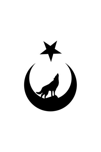 TeOraStore ملصق جديد مخصص للسيارة Gray Wolf Inside Moon Star أسود 25 × 32 سم