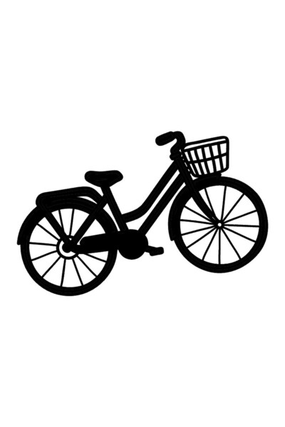pınaxar Bicycle Model 3 Auto Domestic Production A+Quality 30 X 21 cm Durable