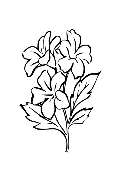 BİLGİMOLA Flower Bouquet Auto Custom New Sticker Black 25 X 35 cm