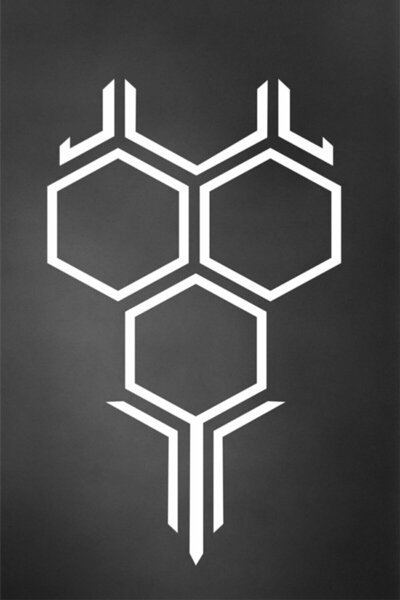 pınaxar Honeycomb Design Auto Hood Domestic Production A+ Quality Black/White...