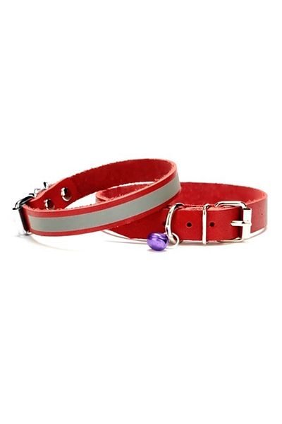 Wovna Reflective Cat and Puppy Collar 1.0X19 cm Red Small