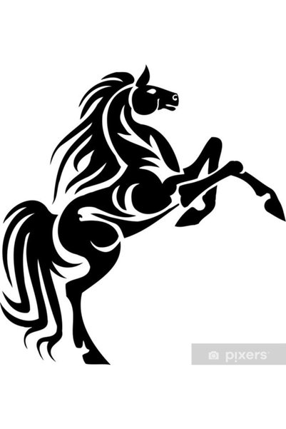 pınaxar Car Back Seat Domestic Production A+ Quality Car Bumper Flame Horse D...