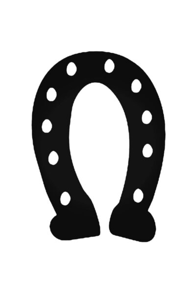 pınaxar Horseshoe Designed Auto Domestic Production A+ Quality 20 cm Durable