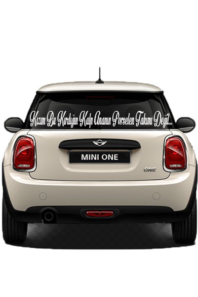 pınaxar Auto Glass Lettering Commercial-Service-Full-Panelvan Long Domestic P...