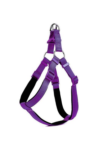 Angoravi Dog Waist Collar 70cm Large Purple