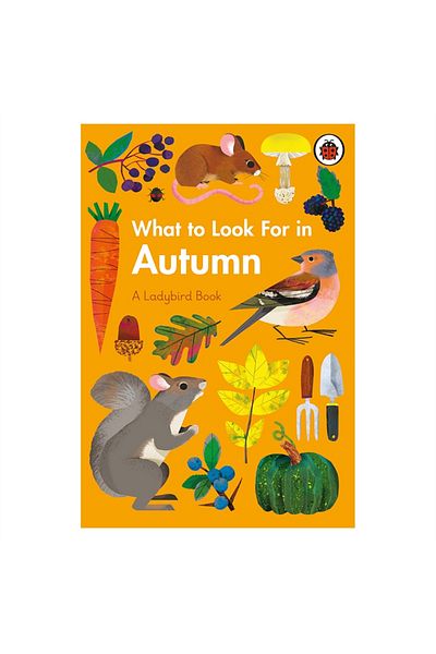 LADYBIRD BOOKS Ladybird What To Look For In Autumn