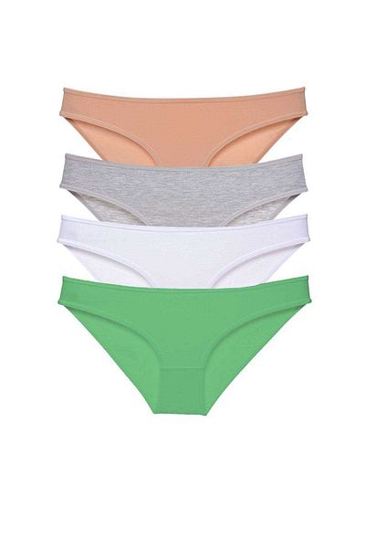 Royaleks 4 Pieces Super Eco Set Lycra Women's Slip Panties Skin Gray White Green