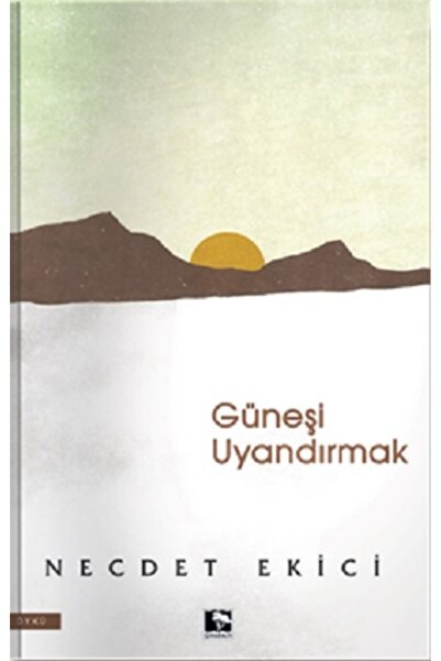 Çınaraltı Yayınları Güneşi Uyandırmak