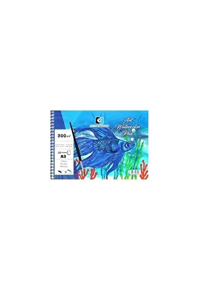 Alex Schoeller طلاء مائي ALX.A3 300 جرام 12 لون SPR ART DFT.ALX-3923