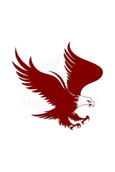 pınaxar Eagle Design Auto Domestic Production A+ Quality Red 20*20 cm Durable