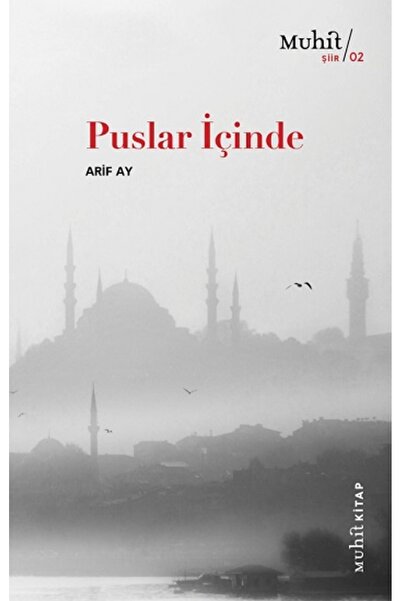 Generic Brand Puslar İçinde Arif Ay Kitabı 72 Sayfa Muhit Kitap