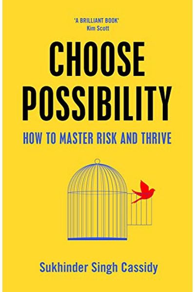 Macmillan Distribution Choose Possibility How To Master Risk And Thrive